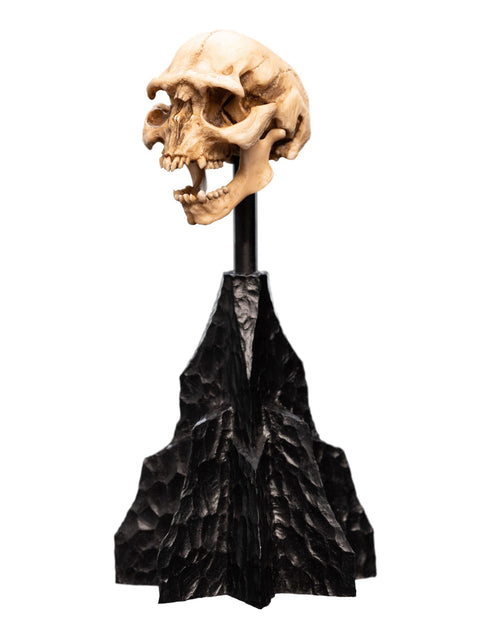 Weta Lord of the Rings Skull of a Moria Orc Mini Statue
