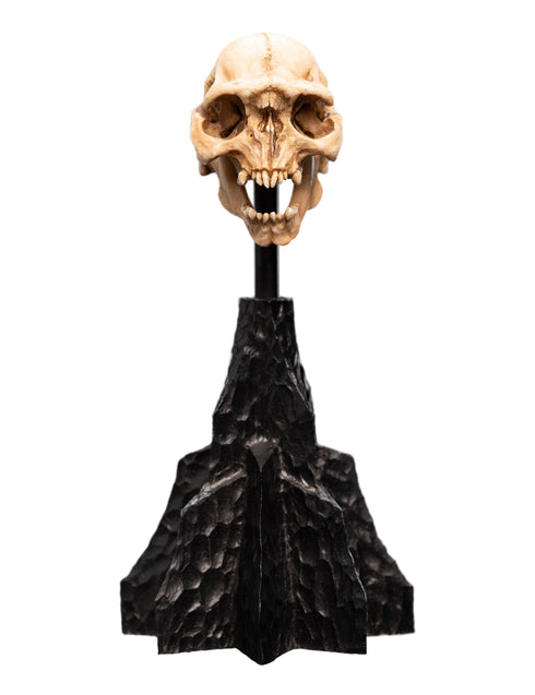 Weta Lord of the Rings Skull of a Moria Orc Mini Statue