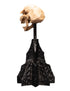 Weta Lord of the Rings Skull of a Moria Orc Mini Statue