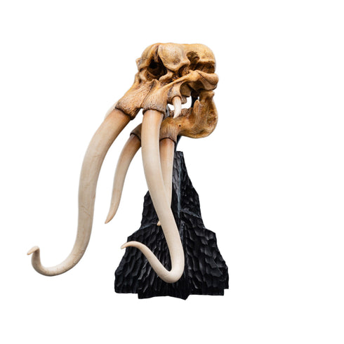Weta Lord of the Rings Skull of a Mumak Mini Statue