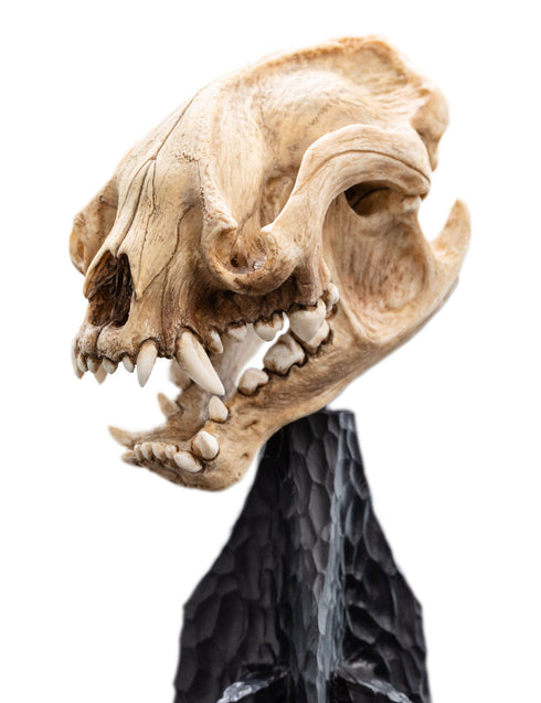 Weta Lord of the Rings Skull of a Warg Mini Statue