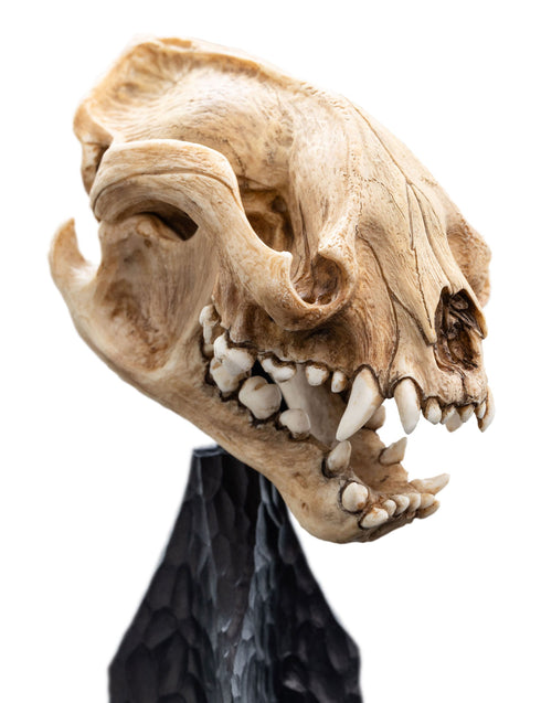 Weta Lord of the Rings Skull of a Warg Mini Statue
