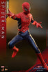 Hot Toys Friendly Neighborhood Spider-Man (Deluxe Version) - No Way Home - MMS662 - 1/6 Scale Collectible Figure