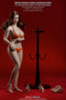 Phicen TBLeague S39 Suntan, Large Bust Female Seamless 1/6 Body Action Figure