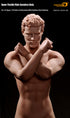 Phicen M31 Male Seamless 1/6 Body Action Figure - Movie Figures - 3
