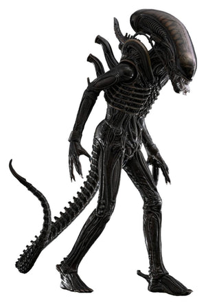 Hot Toys Big Chap - Alien (1979) - MMS826 - 1/6 Scale Collectible Figure